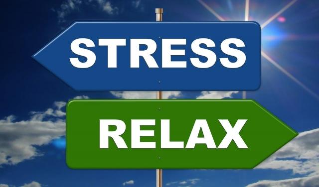 A stress conference in Amsterdam