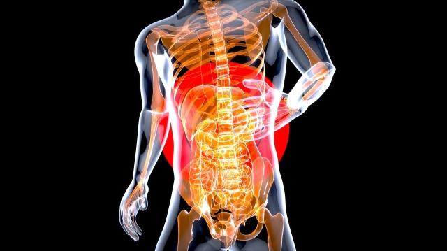 Gut Check: Managing Anxiety Through a Healthy Gut